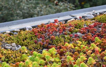 the cost of Edgeley green roof installation