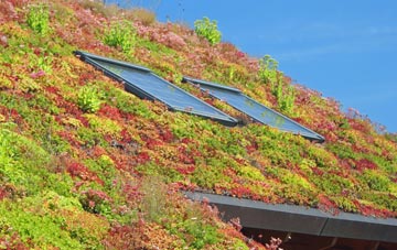 Edgeley living roof systems